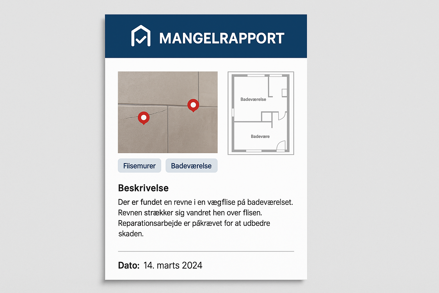 Download professionel PDF